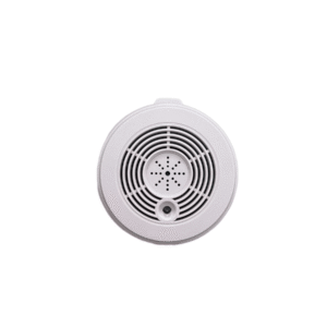 Versteckte Kamera Überwachungsgerät