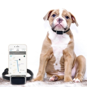 GPS Tracker Halsband mit GPS GPS für Hunde