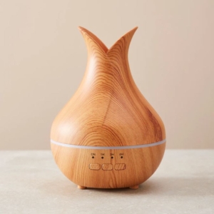 Mini Kamera Diffusor ätherische Öle Verdampfer