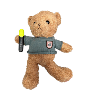 Plüschbär mit versteckter WLAN-Videokamera