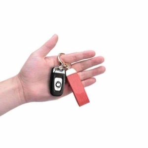 Fernbedienung mit verstecktem Diktiergerät