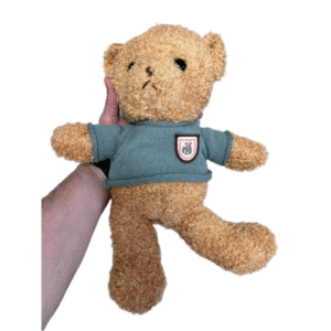 Versteckte Kamera mit WLAN in ein Spielzeug eingebaut