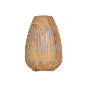 versteckte Videokamera Diffusor 32GB